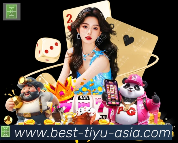 mk体育APP 封面图